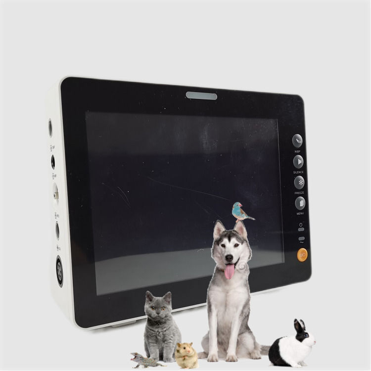 Moniteur de signes vitaux de 8 pouces durable Chien chat mouton Excellente qualité Moniteur de signes vitaux