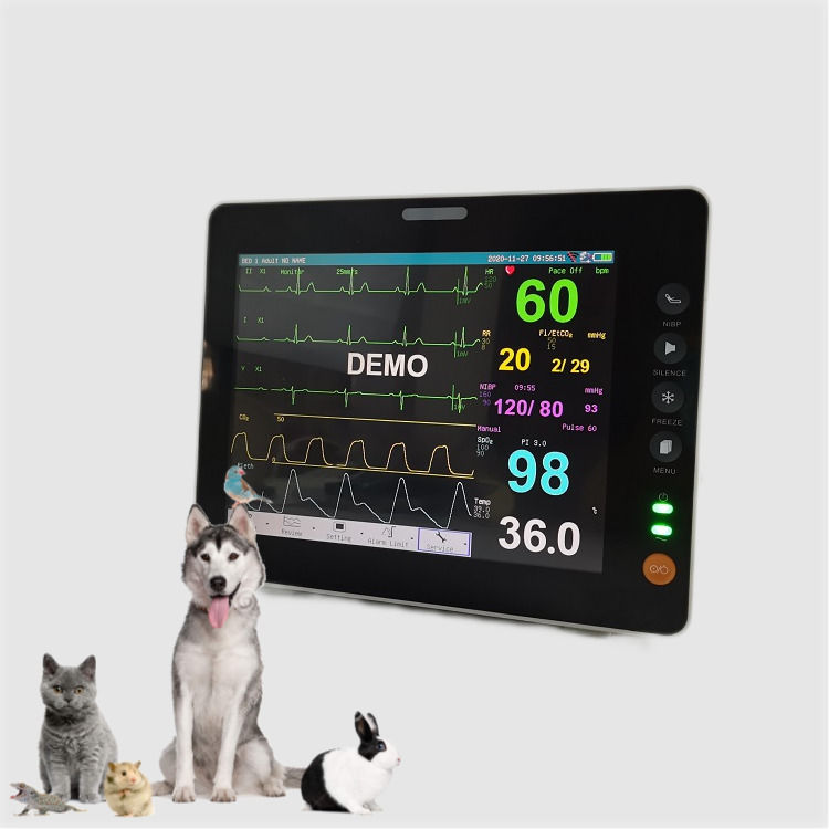 Moniteur de signes vitaux de 8 pouces, affichage TFT mini durable, vétérinaire