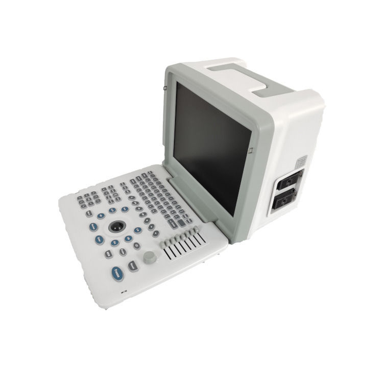 Machine d'échographie fœtale portable Doppler de grossesse B W pour bébé, scanner radio, ordinateur portable en métal
