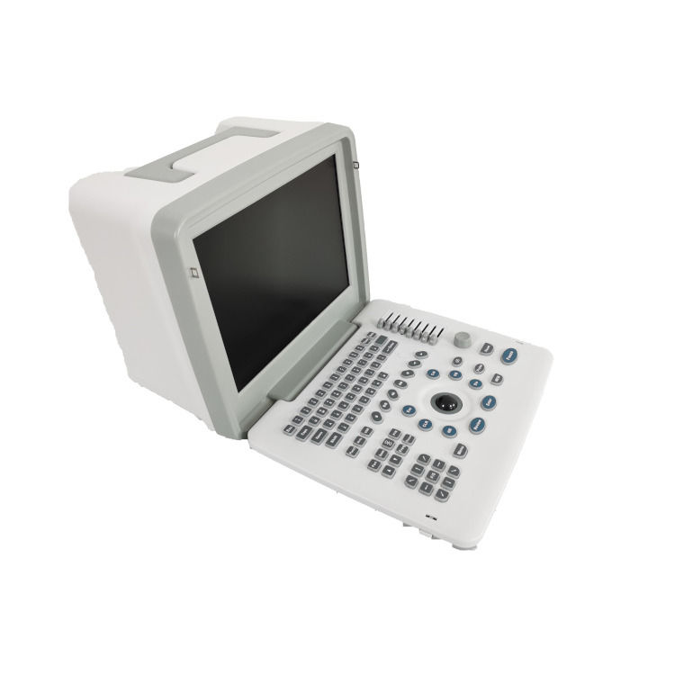 Machine d'échographie fœtale portable Doppler de grossesse B W pour bébé, scanner radio, ordinateur portable en métal