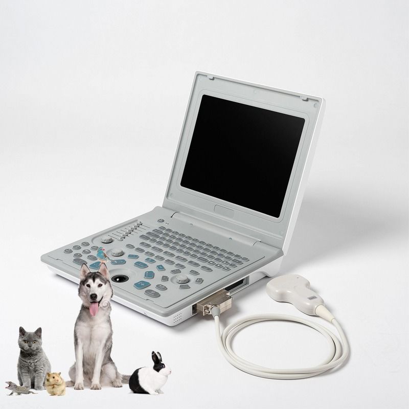 Appareil d'échographie linéaire diagnostique externe pour hôpital, échographe pour chien, ordinateur portable, échographie de vache, scanner de grossesse pour mouton