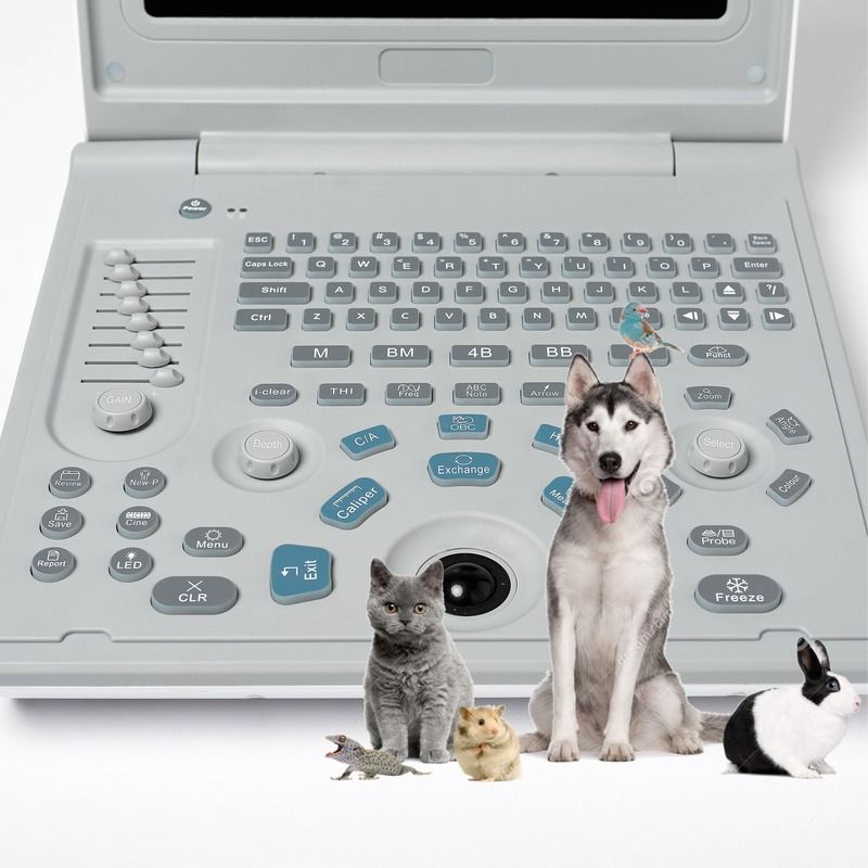 Appareil d'échographie linéaire diagnostique externe pour hôpital, échographe pour chien, ordinateur portable, échographie de vache, scanner de grossesse pour mouton
