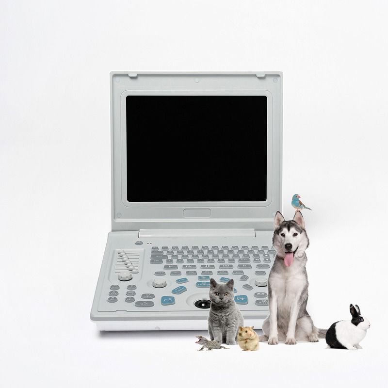 Appareil d'échographie linéaire diagnostique externe pour hôpital, échographe pour chien, ordinateur portable, échographie de vache, scanner de grossesse pour mouton