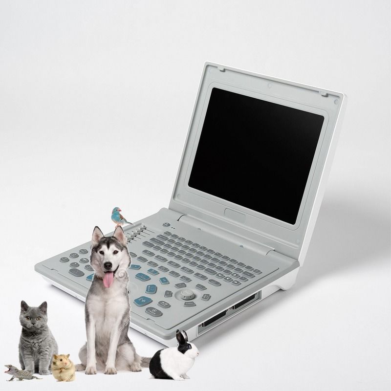 Appareil d'échographie linéaire diagnostique externe pour hôpital, échographe pour chien, ordinateur portable, échographie de vache, scanner de grossesse pour mouton