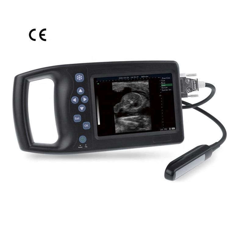 Dispositif d'échographie portable pour animaux de compagnie pour chats et chats Testeur vétérinaire de grossesse B Cochon Mouton Chien Cheval Scanner d'échographie vétérinaire