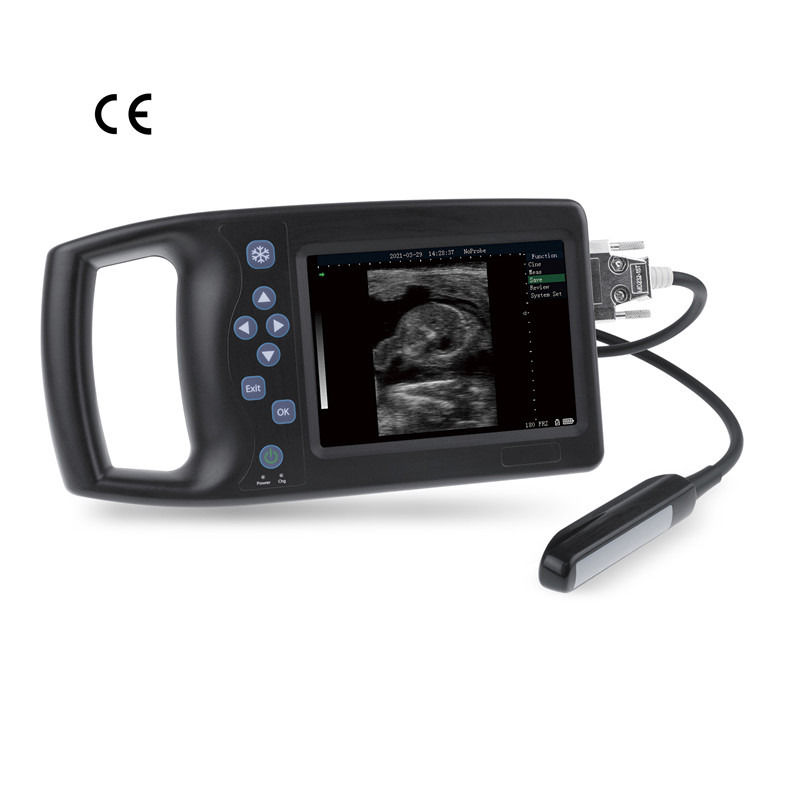 B Vétérinaire Ultrasons Moutons Chiens Chevaux Porcs portables Peur Grossesse Animaux Appareil mobile Vétérinaire Ultrasons Scanner