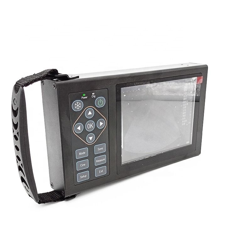 Ultrasons portables de vache/cheval/animal E20 B Ultrasons vétérinaires Ultrasons vétérinaires pour vétérinaire