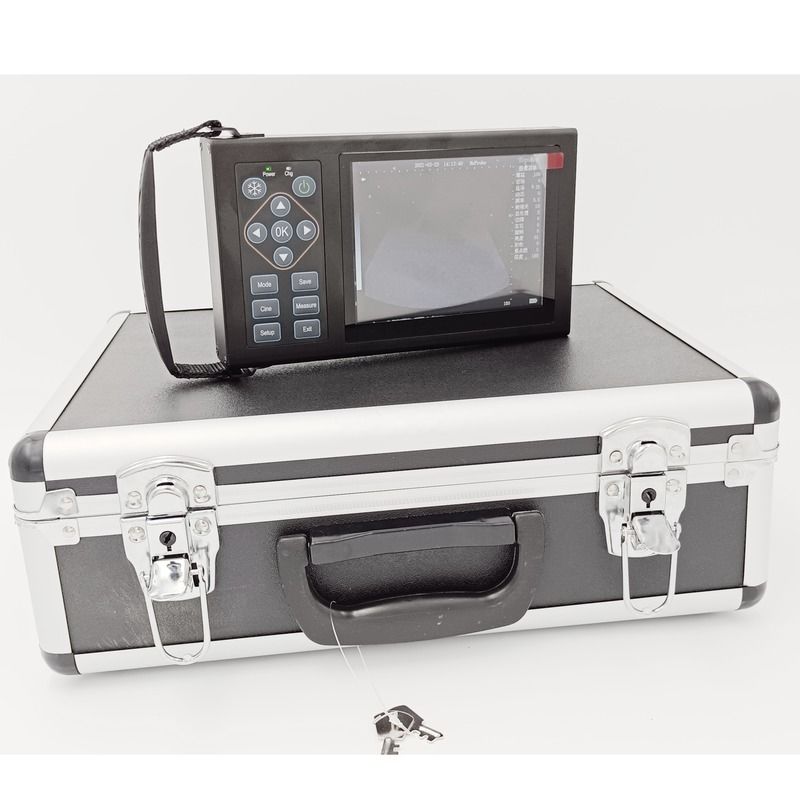 B Vétérinaire Ultrasons Chiens Chevaux Cochons Effrayer Grossesse Animaux Appareil mobile Vétérinaire Numérique Portable Vétérinaire Ultrasons