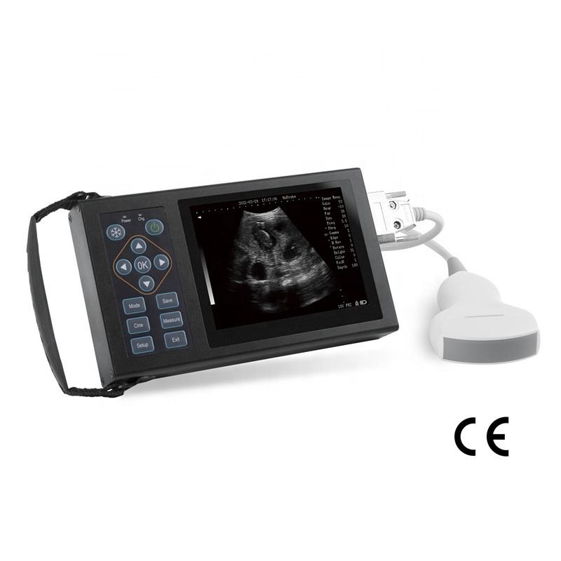 B Vétérinaire Ultrasons Chiens Chevaux Cochons Effrayer Grossesse Animaux Appareil mobile Vétérinaire Numérique Portable Vétérinaire Ultrasons