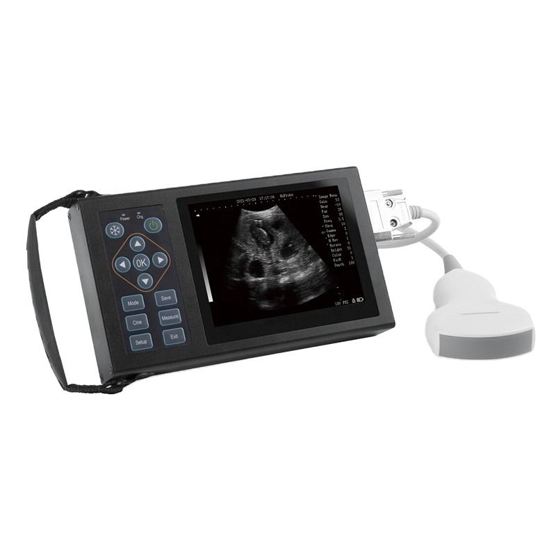 Ultrasons portables de vache/cheval/animal E20 B Ultrasons vétérinaires Ultrasons vétérinaires pour vétérinaire